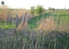 Picture 018